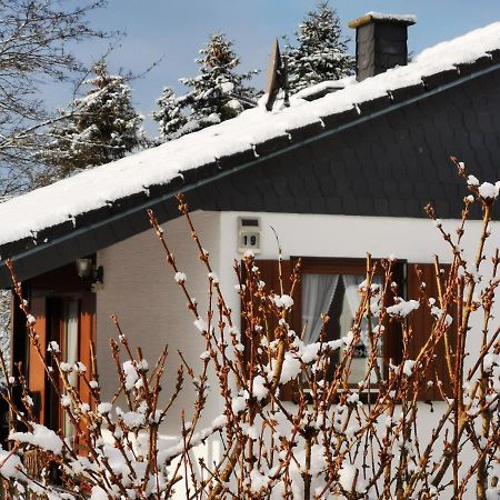 Bb19 Eifel-Ferienhaus Am Moseltal Mit Saunahaus Beuren  Ngoại thất bức ảnh