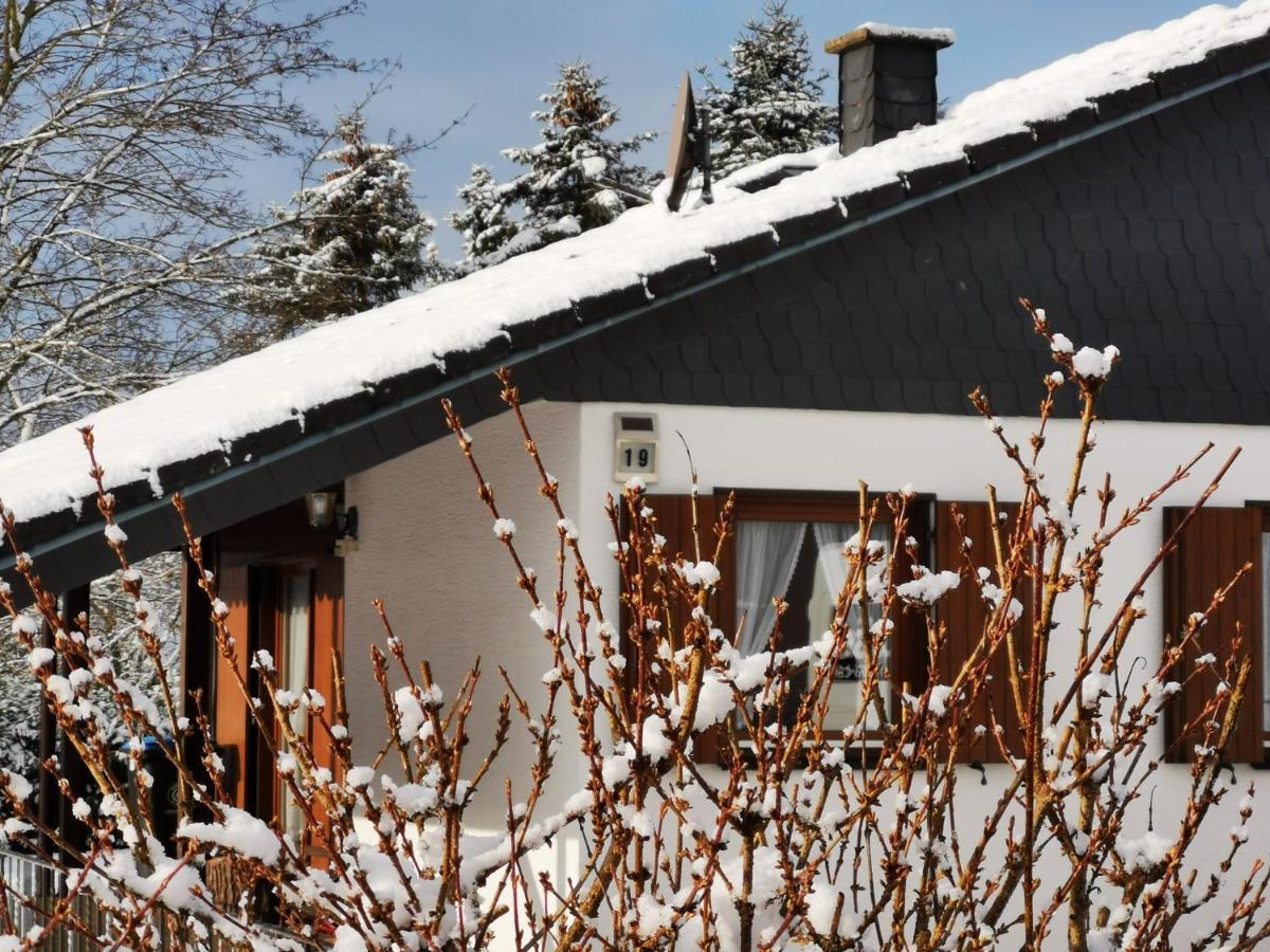 Bb19 Eifel-Ferienhaus Am Moseltal Mit Saunahaus Beuren  Ngoại thất bức ảnh
