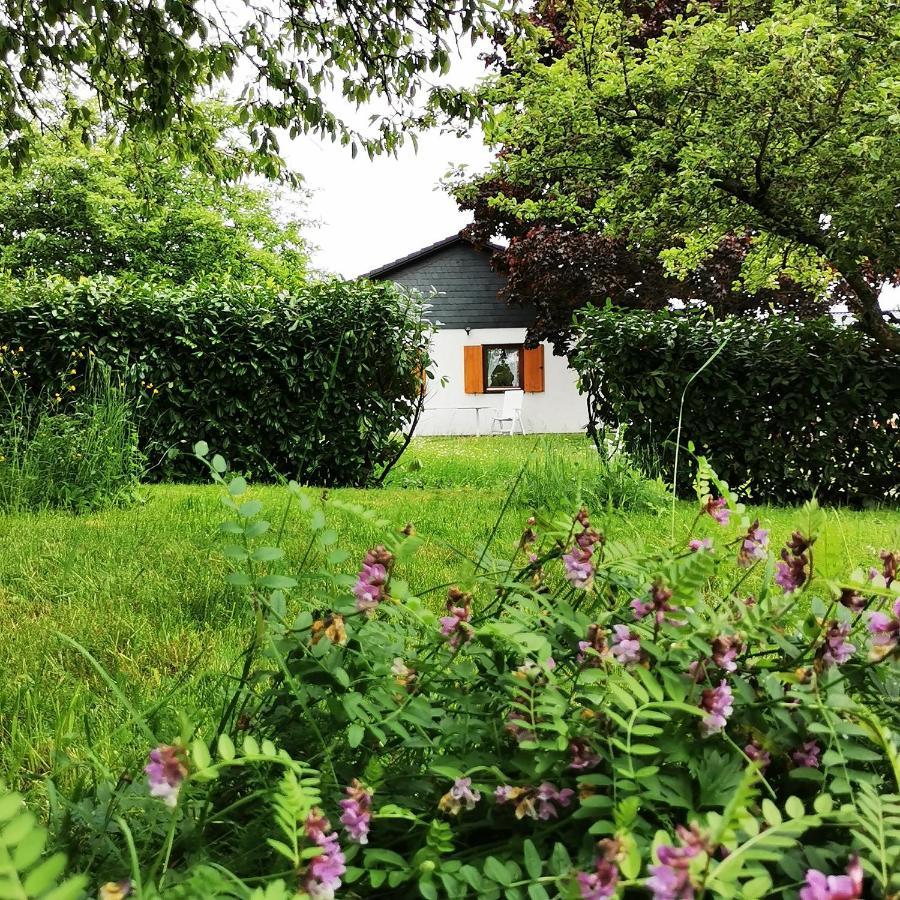 Bb19 Eifel-Ferienhaus Am Moseltal Mit Saunahaus Beuren  Ngoại thất bức ảnh